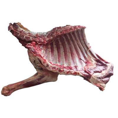 小羊排【带脖】（清真）